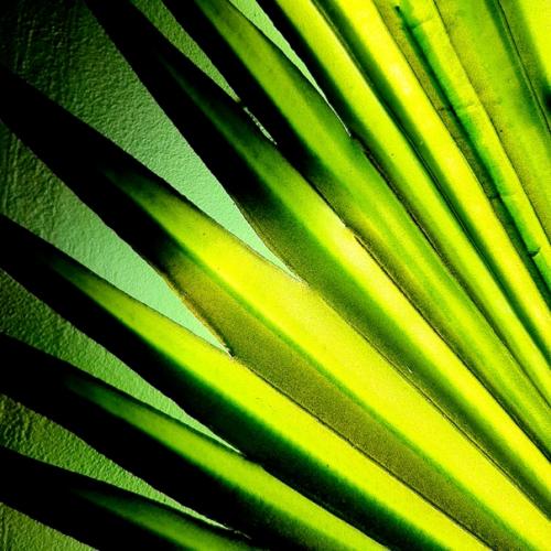 Панно - светильник Пальма! 05