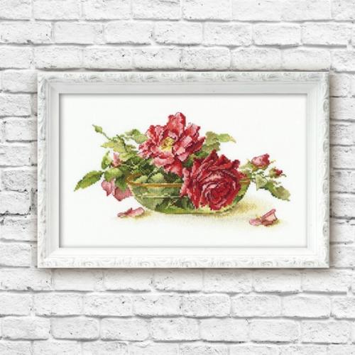 При всем многообразии цветов на планете, роза все же королева! 05