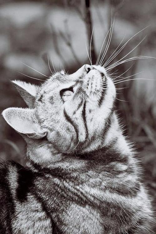 Пусть каждый день с улыбок начинается, пусть будет больше нежности и ласки, и все мечты красивые сбываются, как в самой доброй и. 04