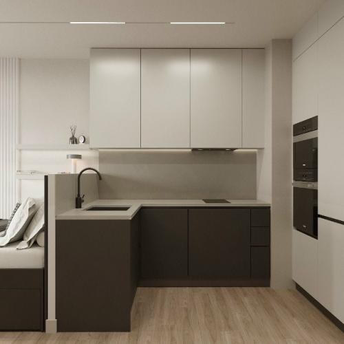 Современный проект квартиры - студии 28 м 2. строгий монохромный интерьер для девушки - студентки. 01