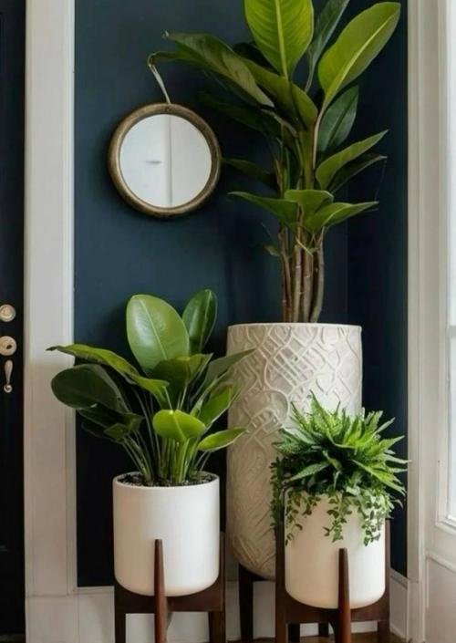 В прихожей не место растениям?  