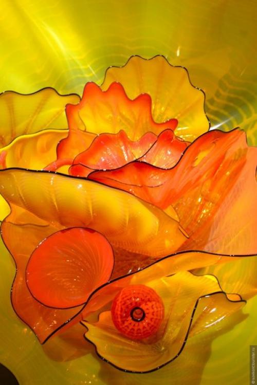 Фантастические стеклянные сады Дэйла чихули / Dale Chihuly? 06
