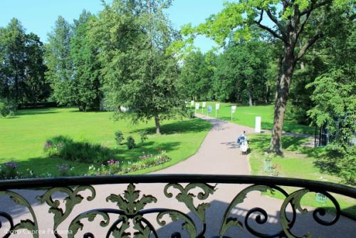 Из прошлого: Пётр III. 06