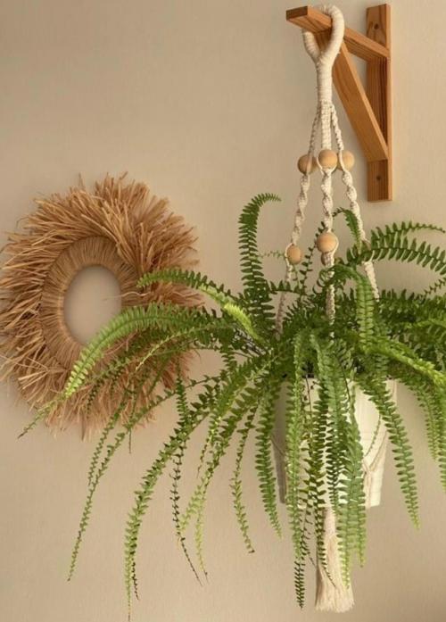 В прихожей не место растениям? 03