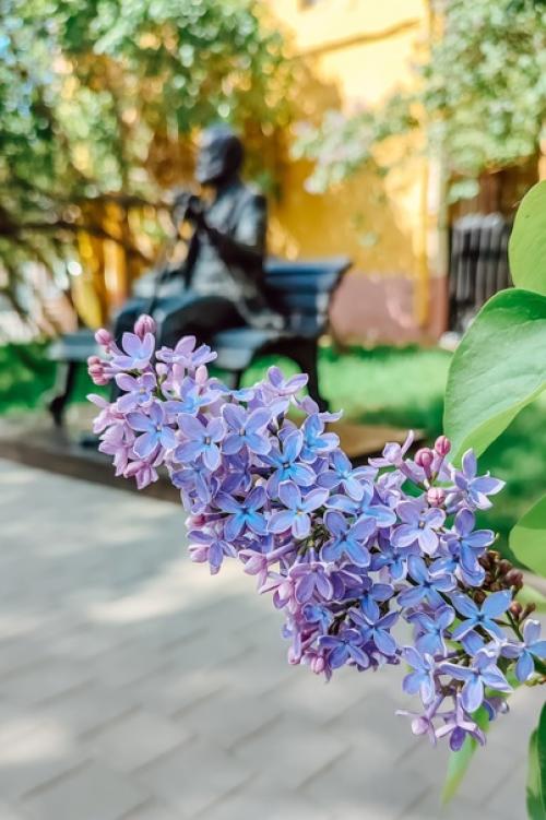 Что вы о Тамбове знаете? 04