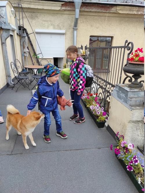 Продолжаю историю про удивительный дом, в котором мы оказались. 07