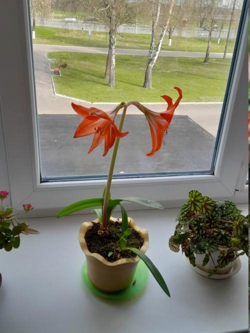 Две последних недели апреля.
