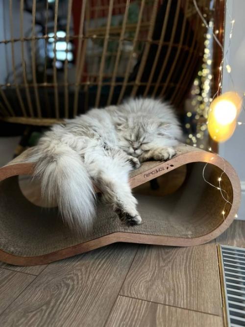 Добро пожаловать в невероятную атмосферу эстетики, уюта и творчества дома мильяны Milkin. 04