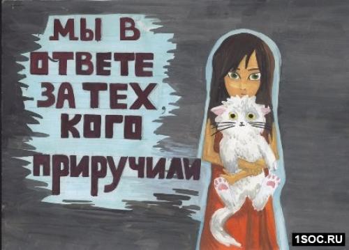 Для тех, кто хочет взять животное в дом (дочитайте до конца. 

