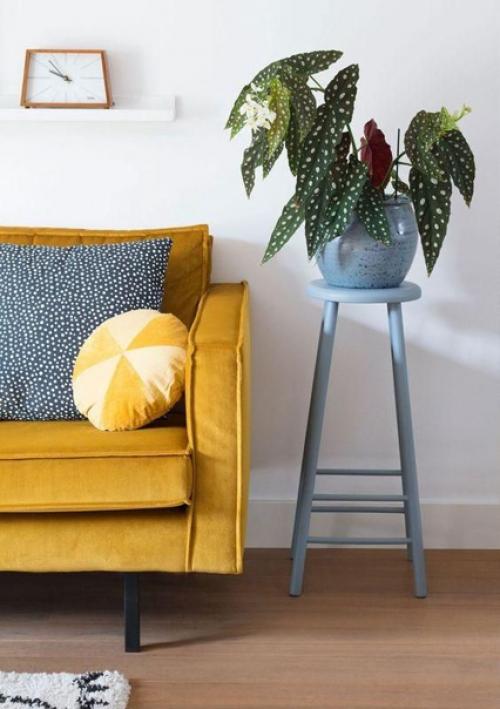 20 главных аргументов почему бегония пятнистая должна быть в вашем доме: 06