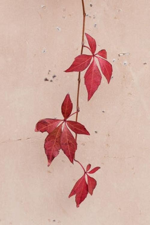 Негативное пространство в фотографии. 05