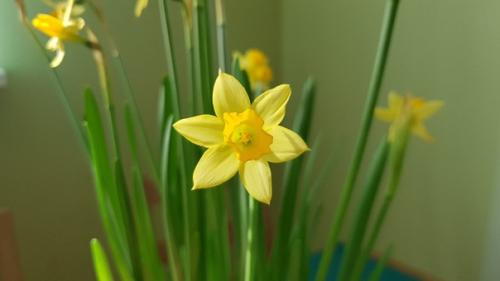 Картинки проекта мне тоже очень нравятся (вы не видели еще спальню), но жить в таком интерьере мне уже не хочется. 03