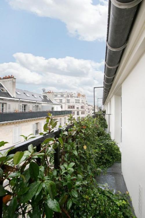 Какие цветы на балконе посадить? 03