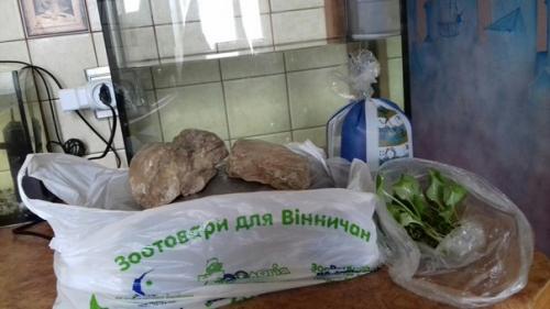 А у меня тут довольно необычный спойлер запуск аквариума! 01