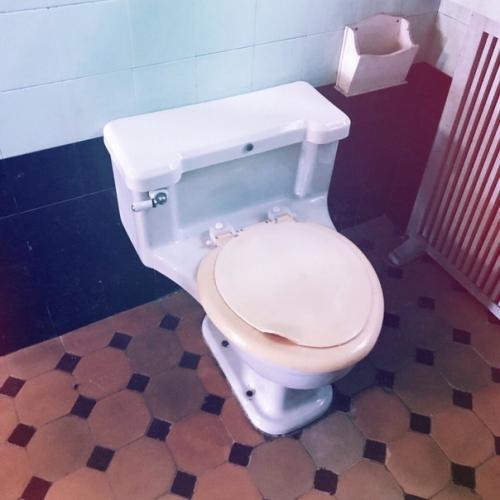 Вчера была очень длинная экскурсия и начали мы ее с дачи Сталина в Абхазии на холодной речке. 08