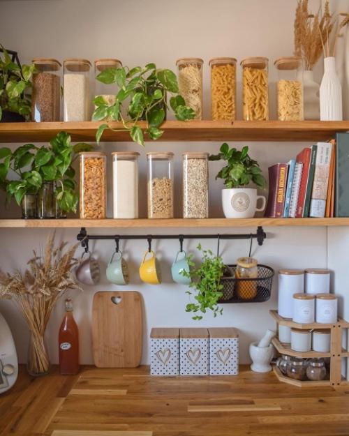 Уютный дизайн квартиры, где растения главный акцент интерьера. 01