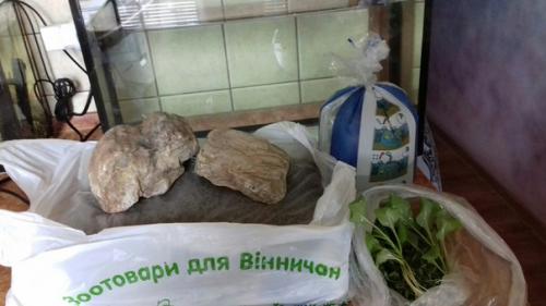 А у меня тут довольно необычный спойлер запуск аквариума! 02