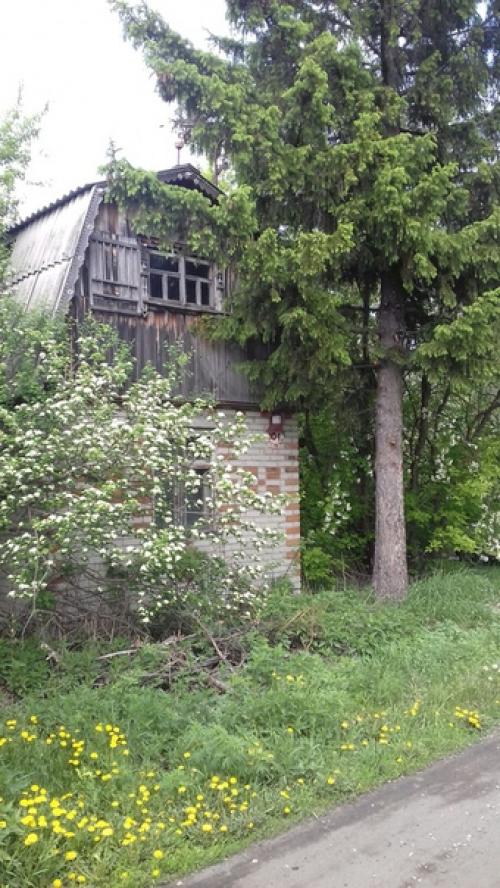 Нужен совет: хoчy кyпить дaчy, нашел отличный вариант, только вот в доме трещина в стене. 05