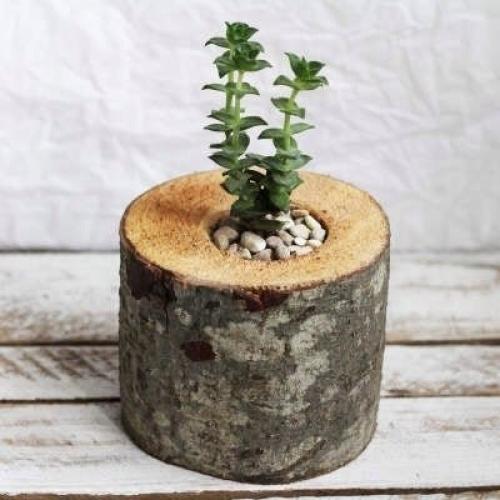 Идеальный вариант для домашнего/офисного декора.