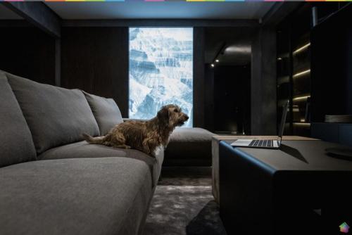 Замечательного утра и отличной недели. 01