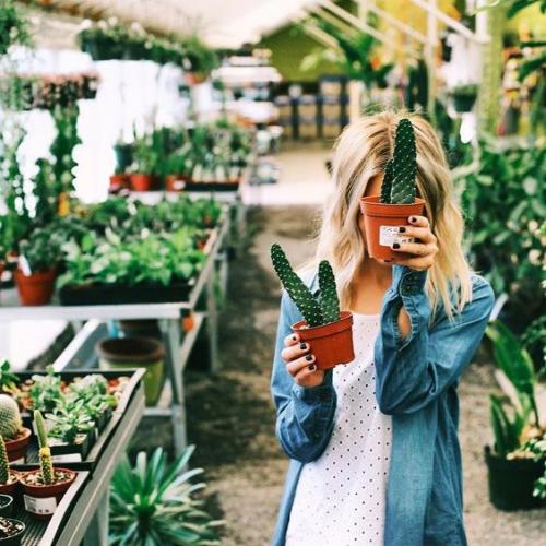 Anna?  Яркие краски цветущих днем кактусов манят к себе насекомых и даже птиц.