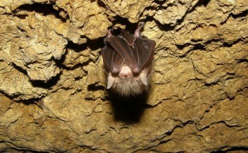 Подземелья рядом с Москвой. 03