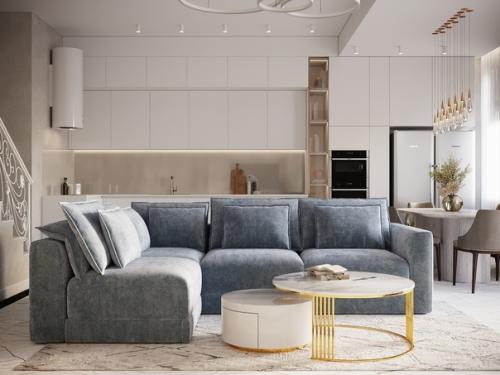 Мы продолжим знакомство с проектом таунхаус_белые _ночи. 04