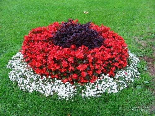 Поделкидлядачи.  12 идей, как сделать красивую клумбу на даче своими руками. 06