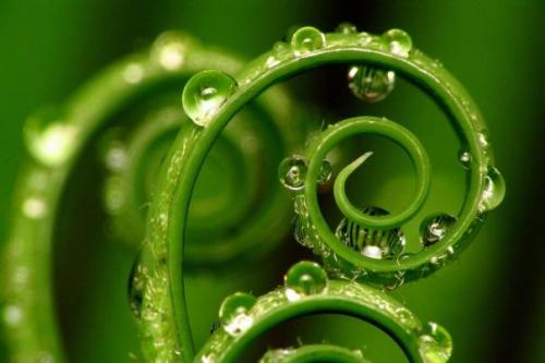 Цвет месяца - салатовый. 01