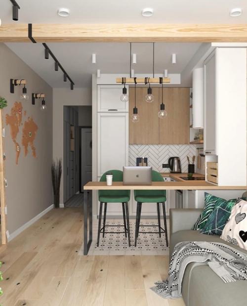 Идеальный вариант обустройства квартиры - студии. 03