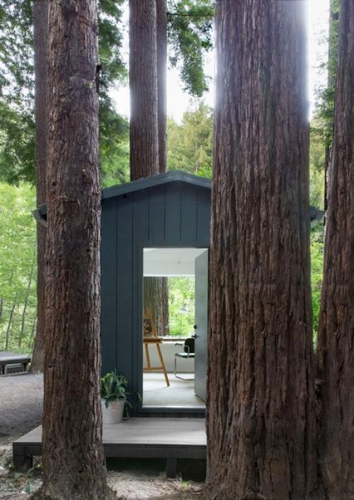 Прекрасный лесной дом со стильными интерьерами. 09