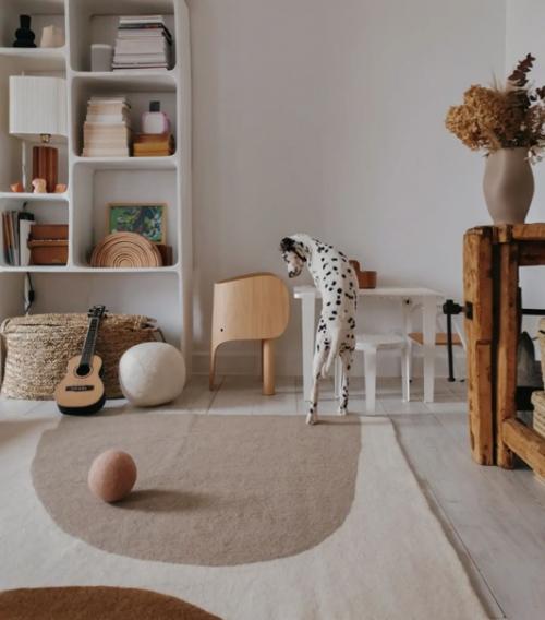 Современный дизайн скандинавского дома для большой семьи с животными. 07