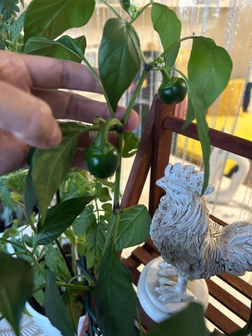 Как прекрасно, когда вкладываешь душу в создание уюта для своих близких! 02