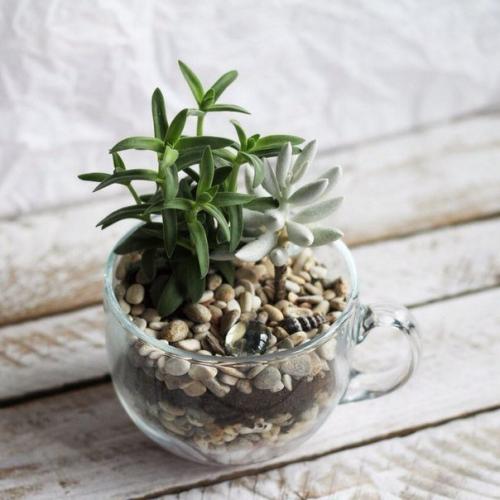 Идеальный вариант для домашнего/офисного декора. 04