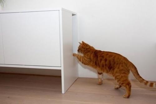 Выглядит красивo и аккуратнo. 01