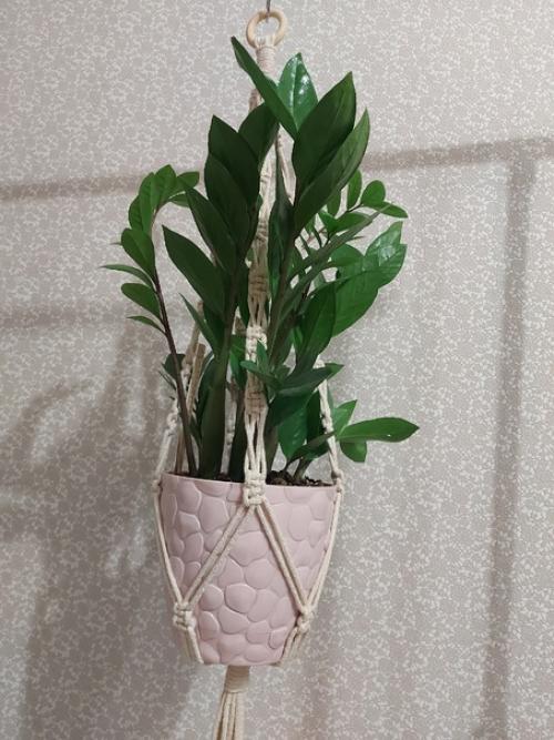 Подвесное кашпо в технике макраме выполнено из хлопкового шнура на деревянном кольце/деревянной основе. 02