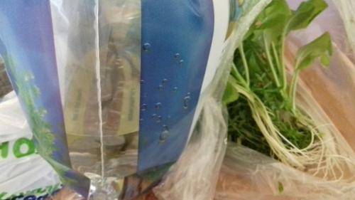 А у меня тут довольно необычный спойлер запуск аквариума! 03