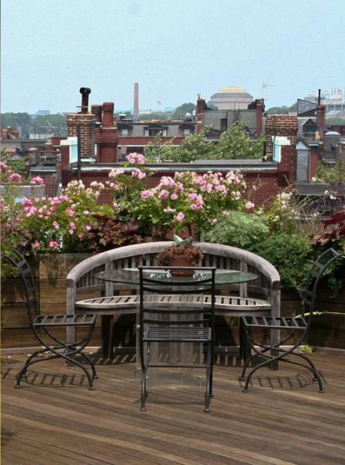 Какие цветы на балконе посадить? 08