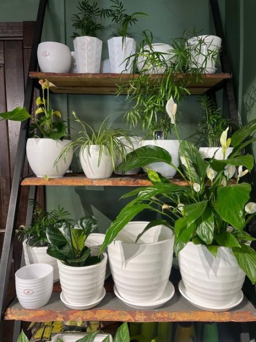 А мы продолжаем тему создания зеленых пространств, красивых террас и цветущих балконов. 05