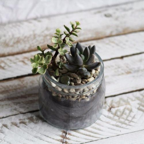 Идеальный вариант для домашнего/офисного декора. 05