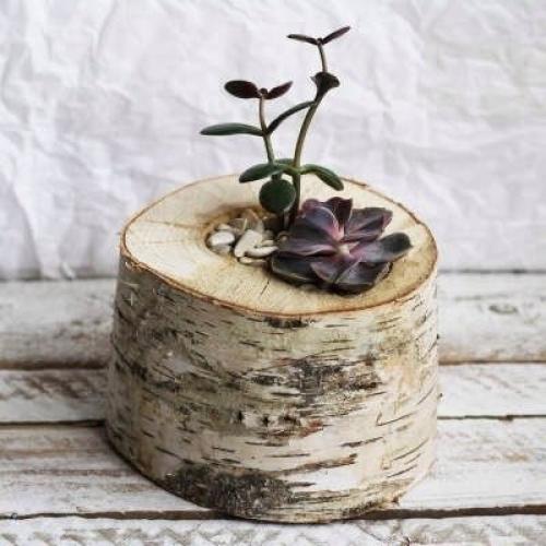 Идеальный вариант для домашнего/офисного декора. 01