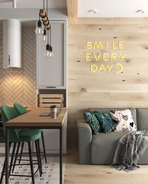 Идеальный вариант обустройства квартиры - студии. 02