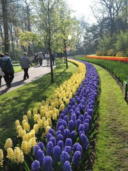 Поделкидлядачи.  12 идей, как сделать красивую клумбу на даче своими руками. 08