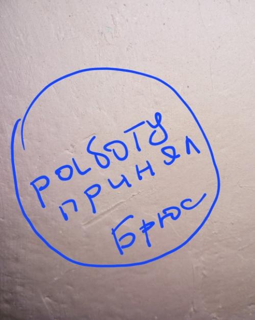 Когда задумал штукатурить стены, не забудь нейтрализовать собаку. 01