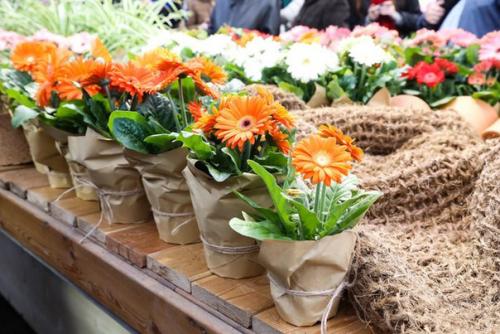 11 идей, куда сходить в первую майскую неделю (1-7 мая). 06