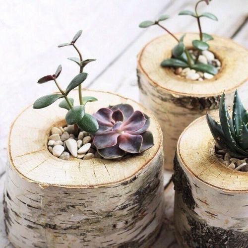 Идеальный вариант для домашнего/офисного декора. 03