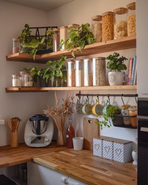 Уютный дизайн квартиры, где растения главный акцент интерьера. 05