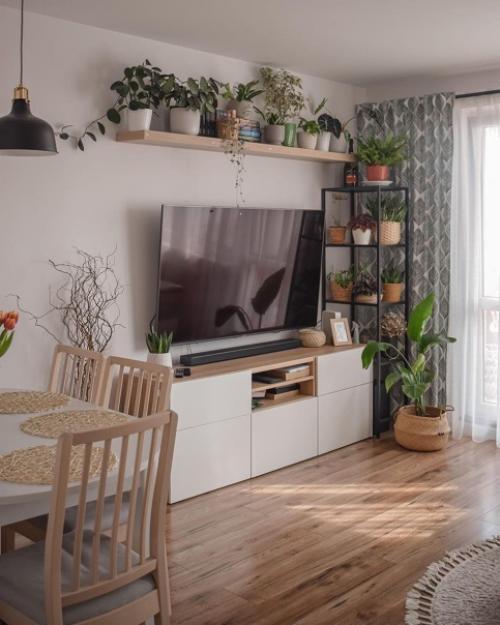 Уютный дизайн квартиры, где растения главный акцент интерьера. 02