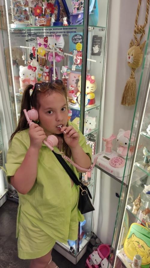 Мурариум - это частная арт - коллекция в Зеленоградске, в которой собранно более четырех с половиной тысяч предметов с изображением котиков. 09