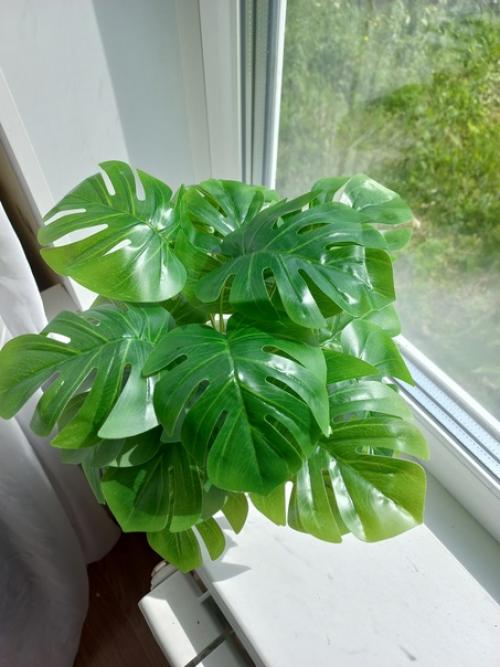 Монстера в кашпо декоративная искусственная. 01